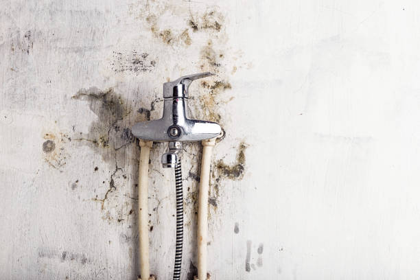Best Water Damage Restoration  in Solana Beach, CA