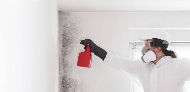 Crawl Space Mold Removal in Solana Beach, CA
